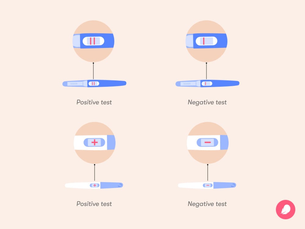 Unprotected Sex During Ovulation Am I Pregnant Flo